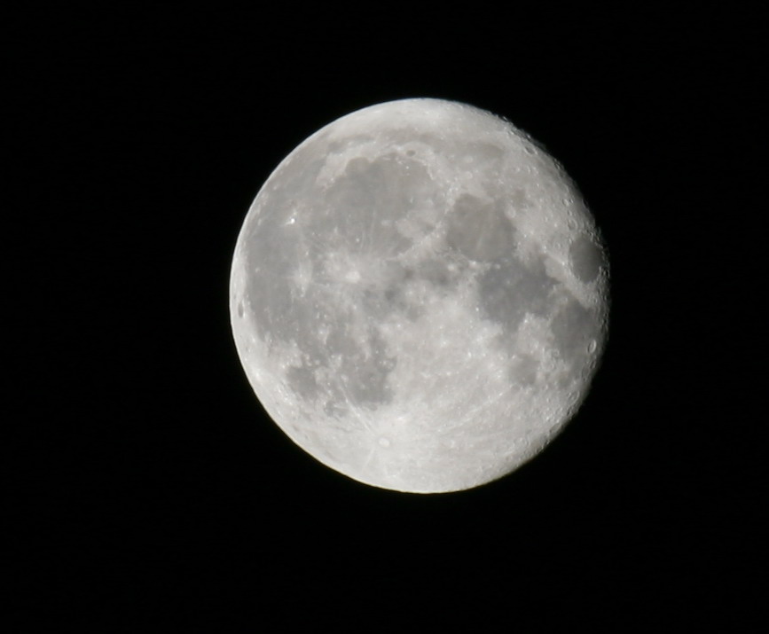 luna.jpg