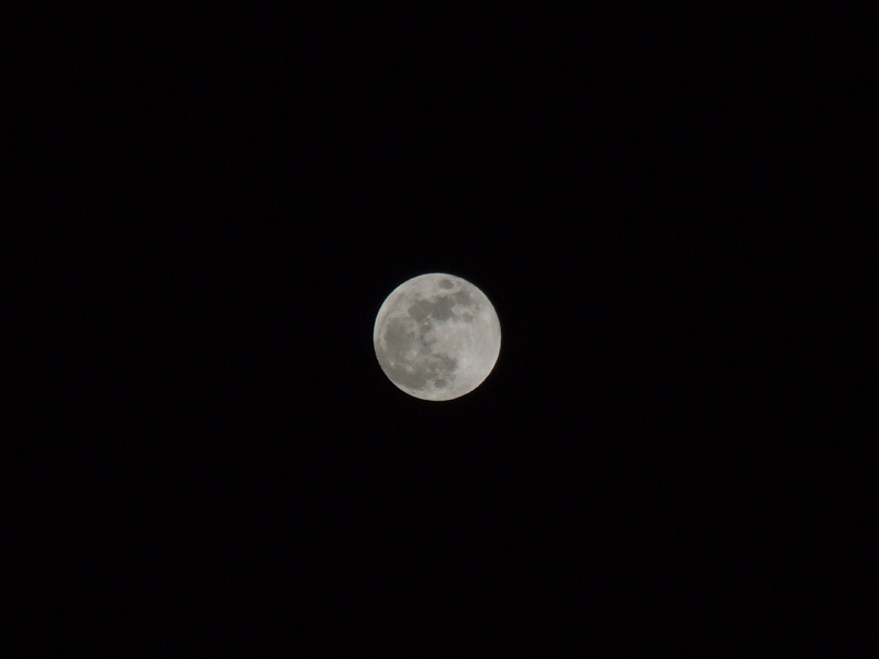luna.jpg
