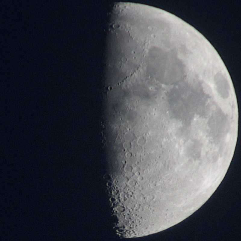 luna.jpg