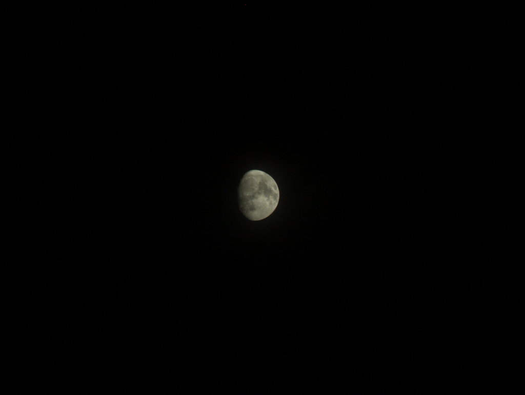 luna 2.jpg
