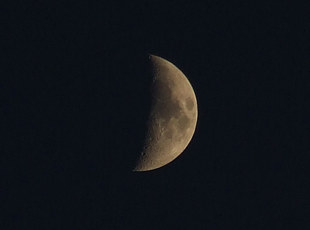 luna.jpg