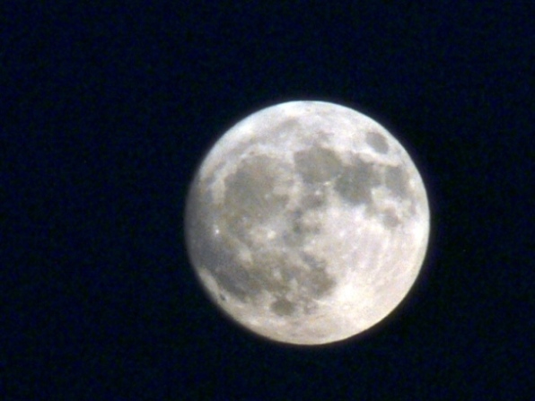 luna.jpg