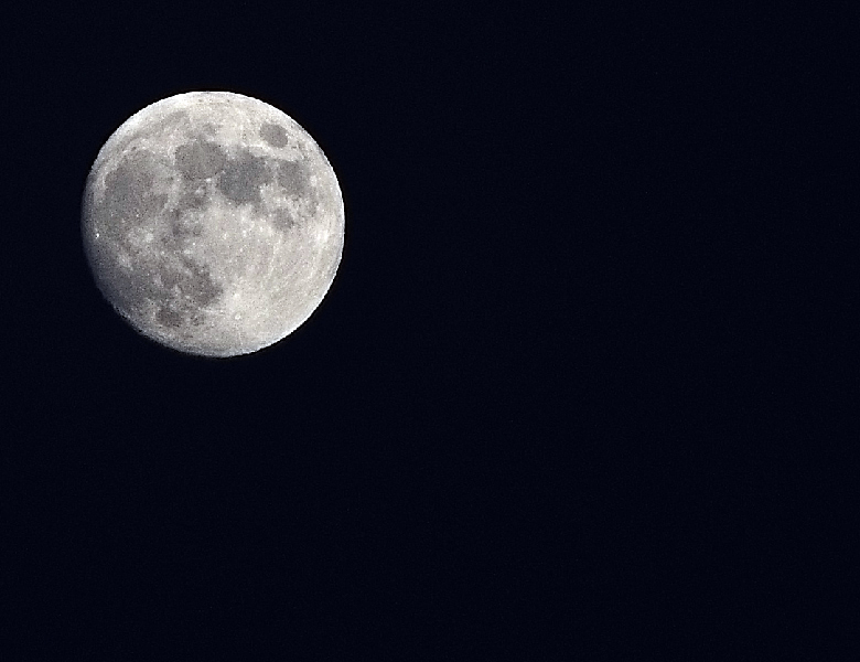 luna.jpg