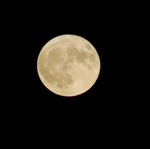 LUNA 4.jpg