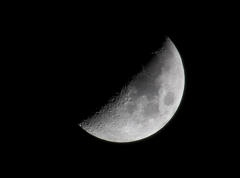luna.jpg