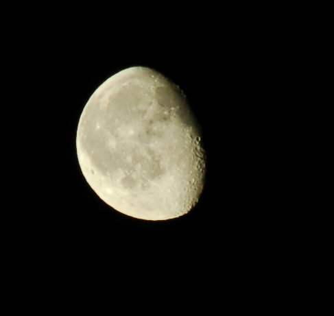 LUNA 5.jpg