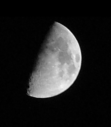 luna_6mp.jpg