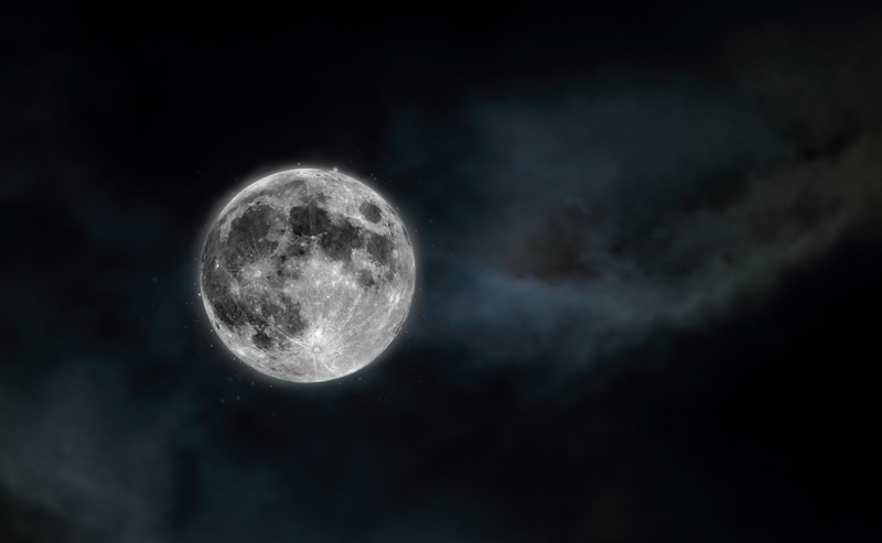 luna.jpg