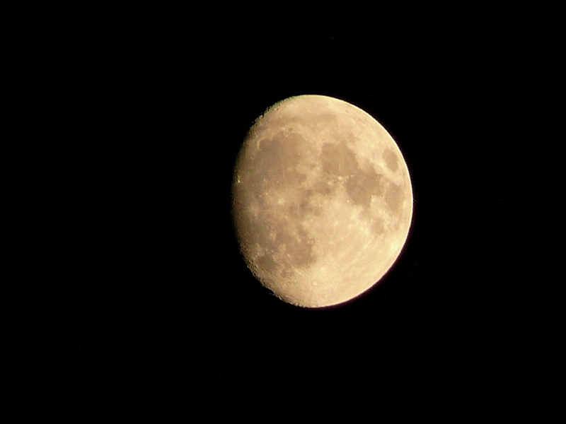 Luna.jpg