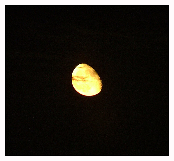 luna.jpg