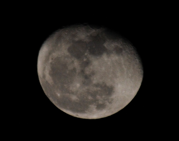 LUNA.JPG
