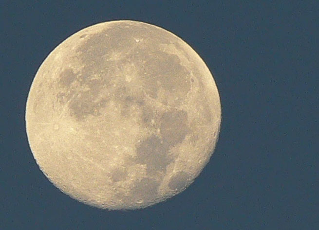 luna .jpg