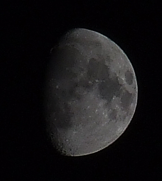 Luna (taglio 1a1).jpg