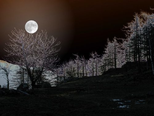 luna a Pianfey.jpg