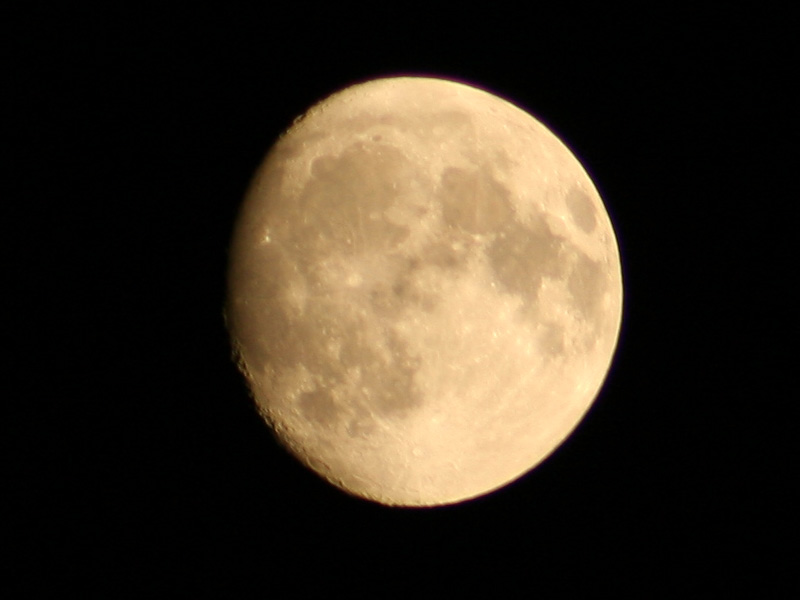 luna crop.jpg