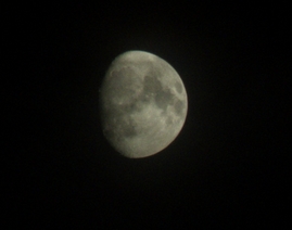 luna crop.jpg