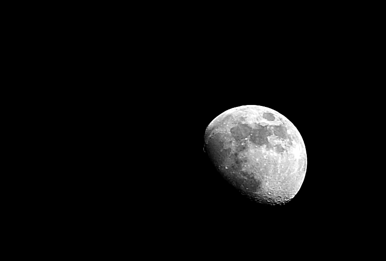 luna p4u.jpg