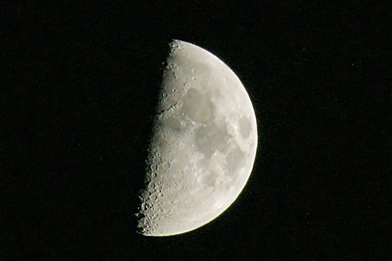 luna photo.jpg