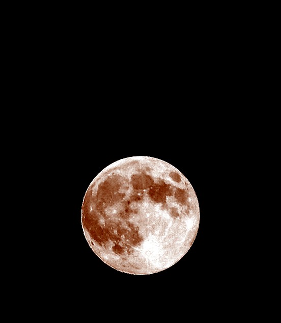 LUNA_picc.jpg