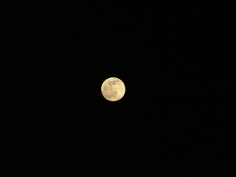lunapiena.jpg