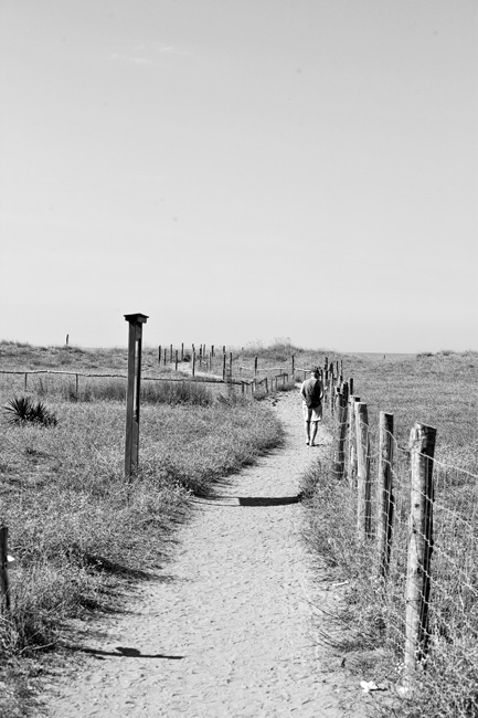 Lungo-il-viottolo3.jpg