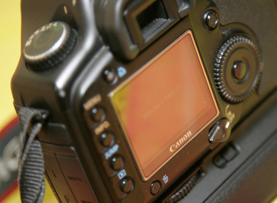 LW3D9964.JPG