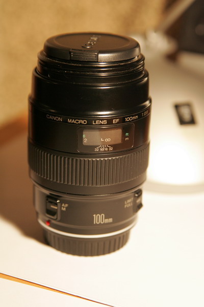 LZ9W1989.JPG