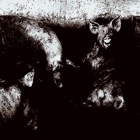 M01.jpg