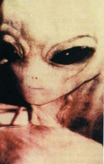 m64.jpg