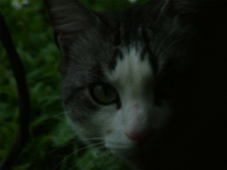 macro0009-WEB.jpg