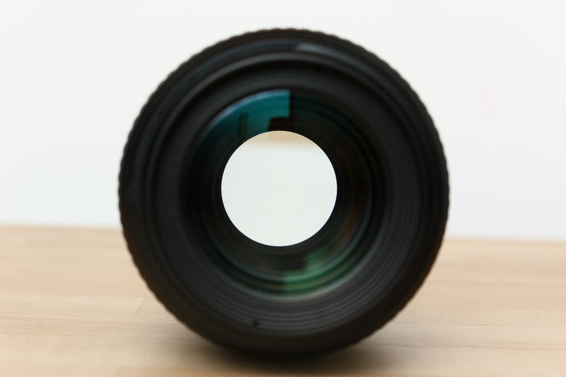 macro4.JPG