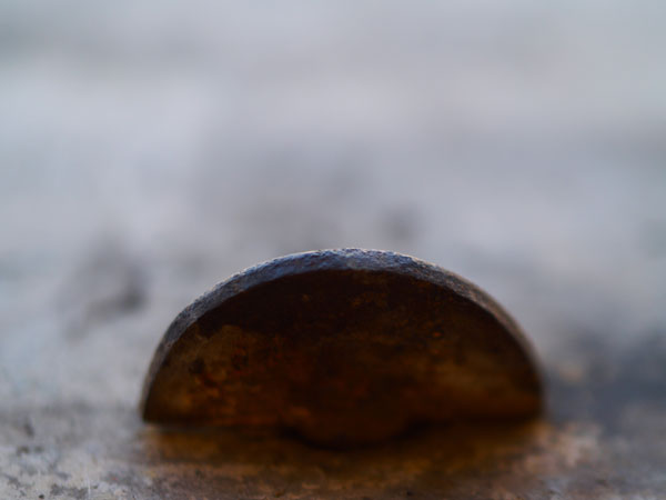 macro.jpg