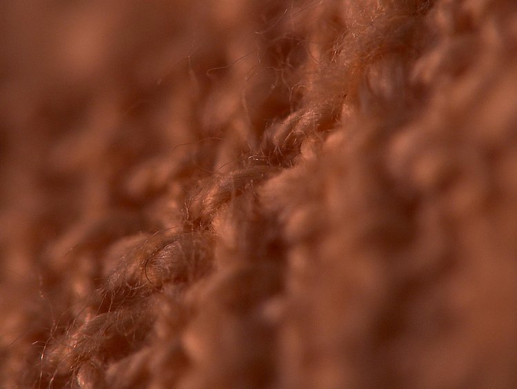 macro con 85mm.jpg