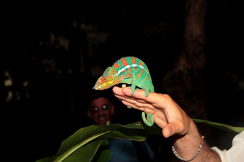 Madagascar_20060415_575 (1).JPG