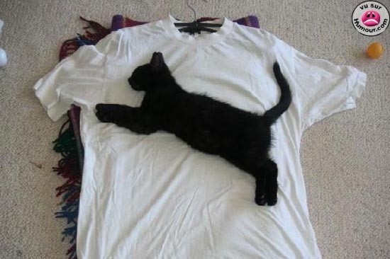 maglia_puma.jpg
