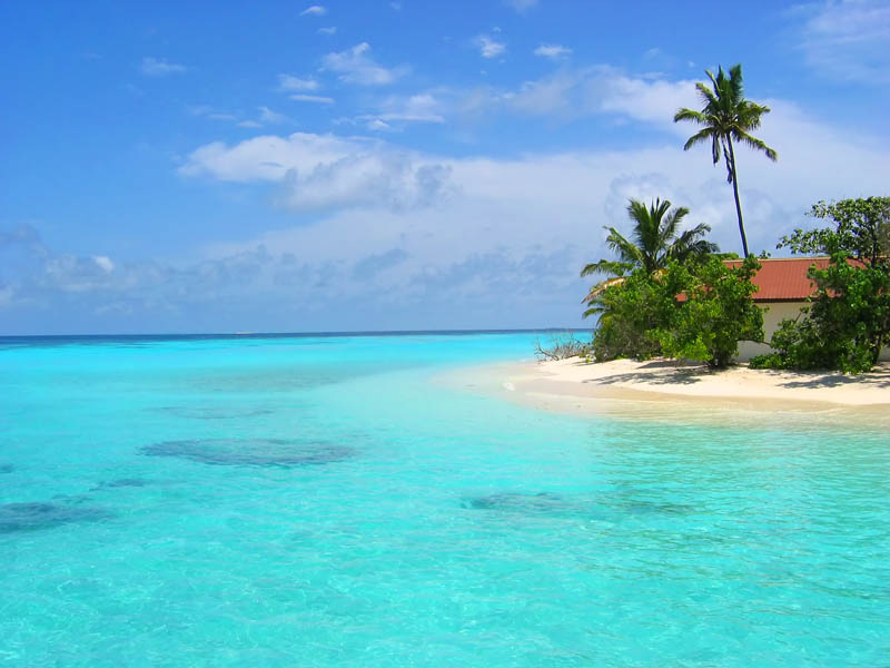 maldive2.jpg