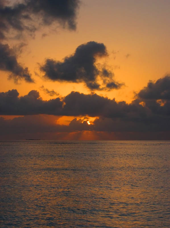 maldive4.jpg