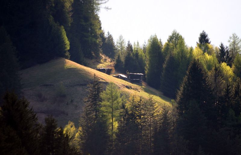 malga.jpg