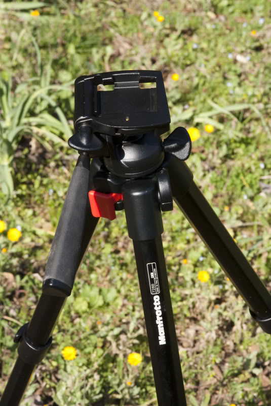 manfrotto01.jpg