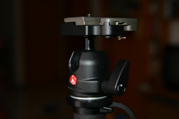 manfrotto4.jpg