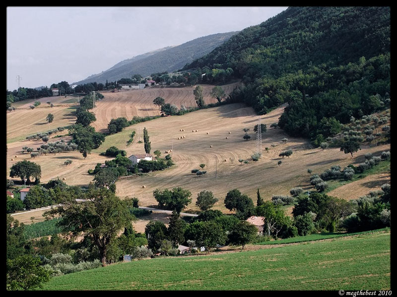 marche.jpeg