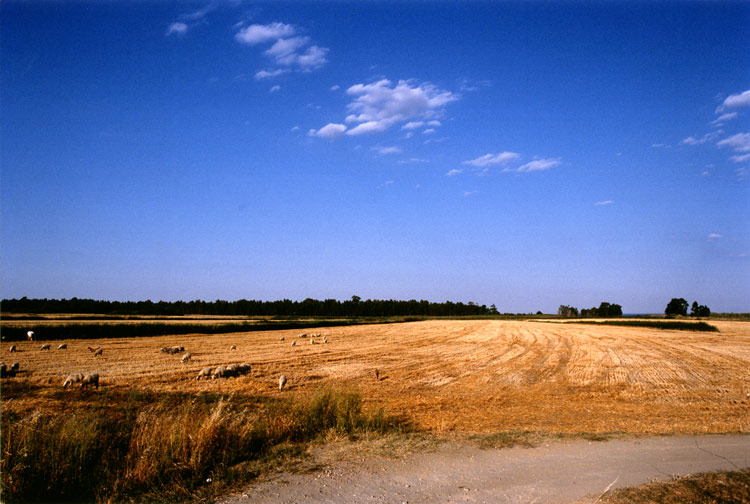 Marchesato-crotonese.jpg