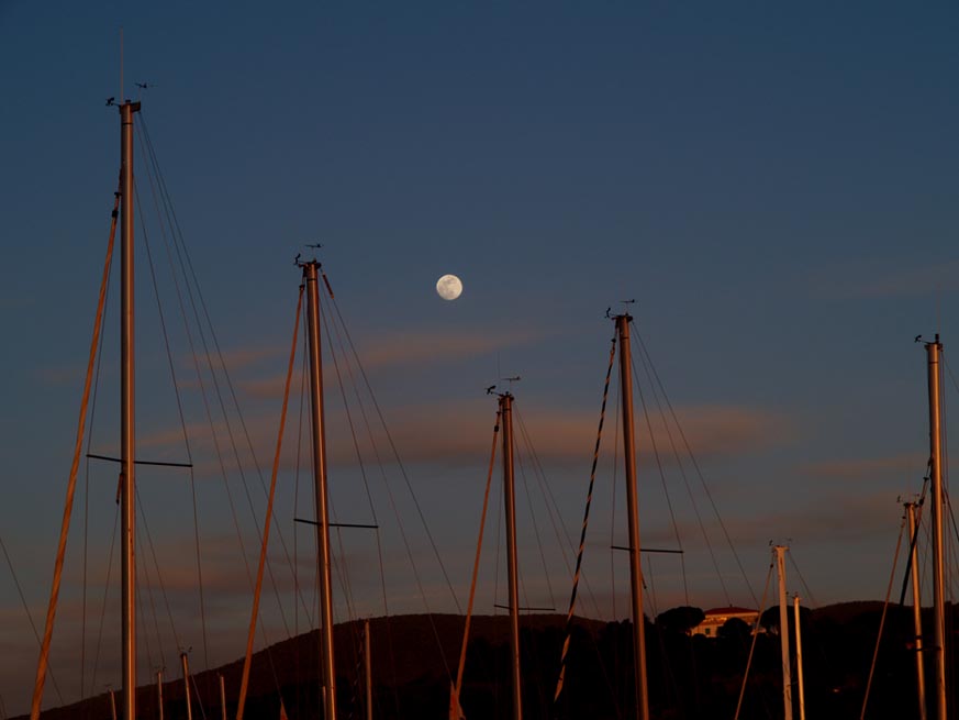 mare0101.jpg
