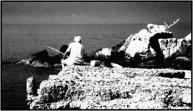 Mare10.jpg