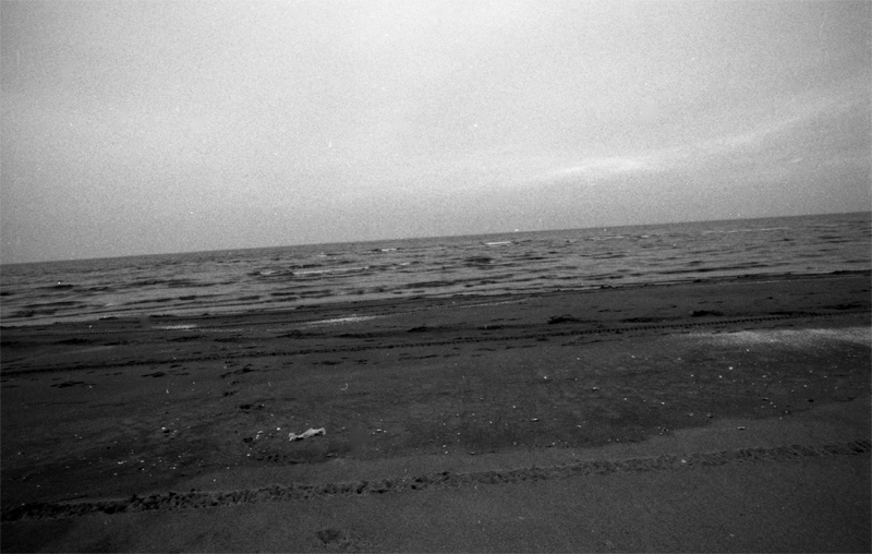 mare3allegato.jpg