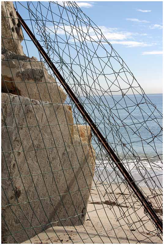 mare4.jpg