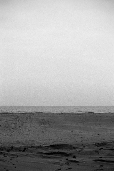 mare4allegato.jpg