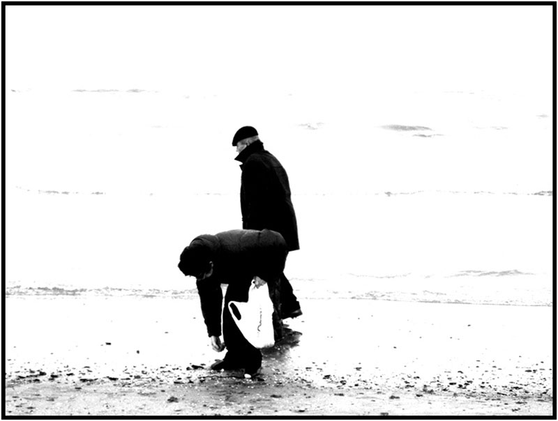 mare 1.jpg