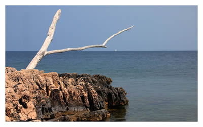 mare.jpg