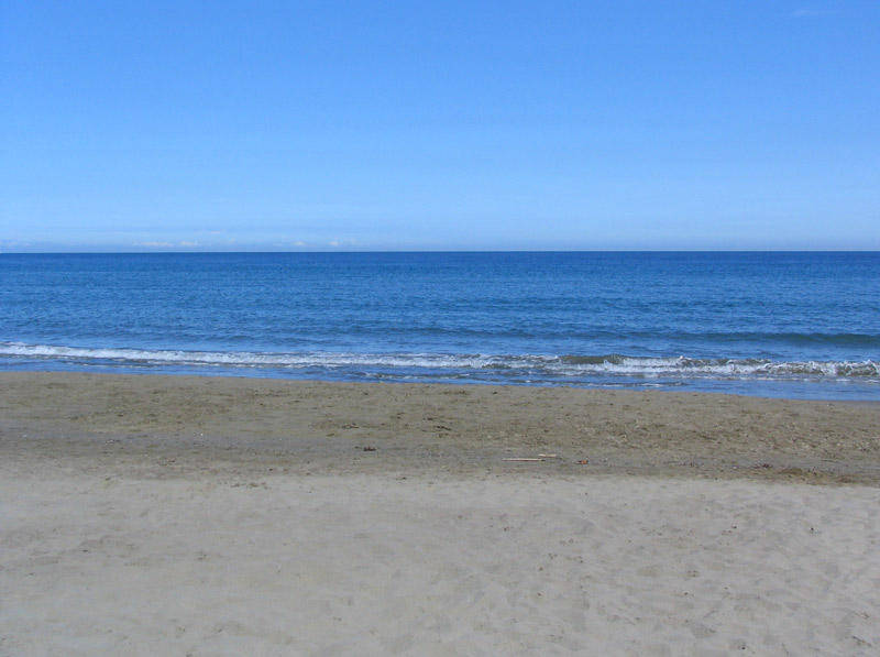 Mare.jpg